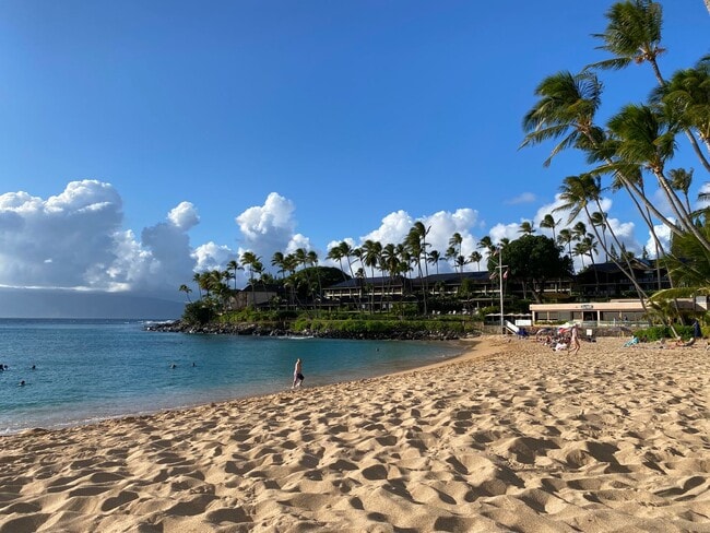 Building Photo - Napili - Newer 2 bedroom, 1 bath. Across the street from Napili Bay.