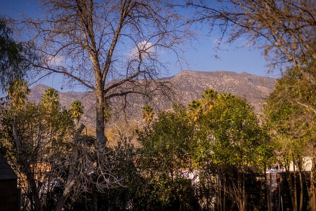 Building Photo - Ojai Funk Zone Hideaway