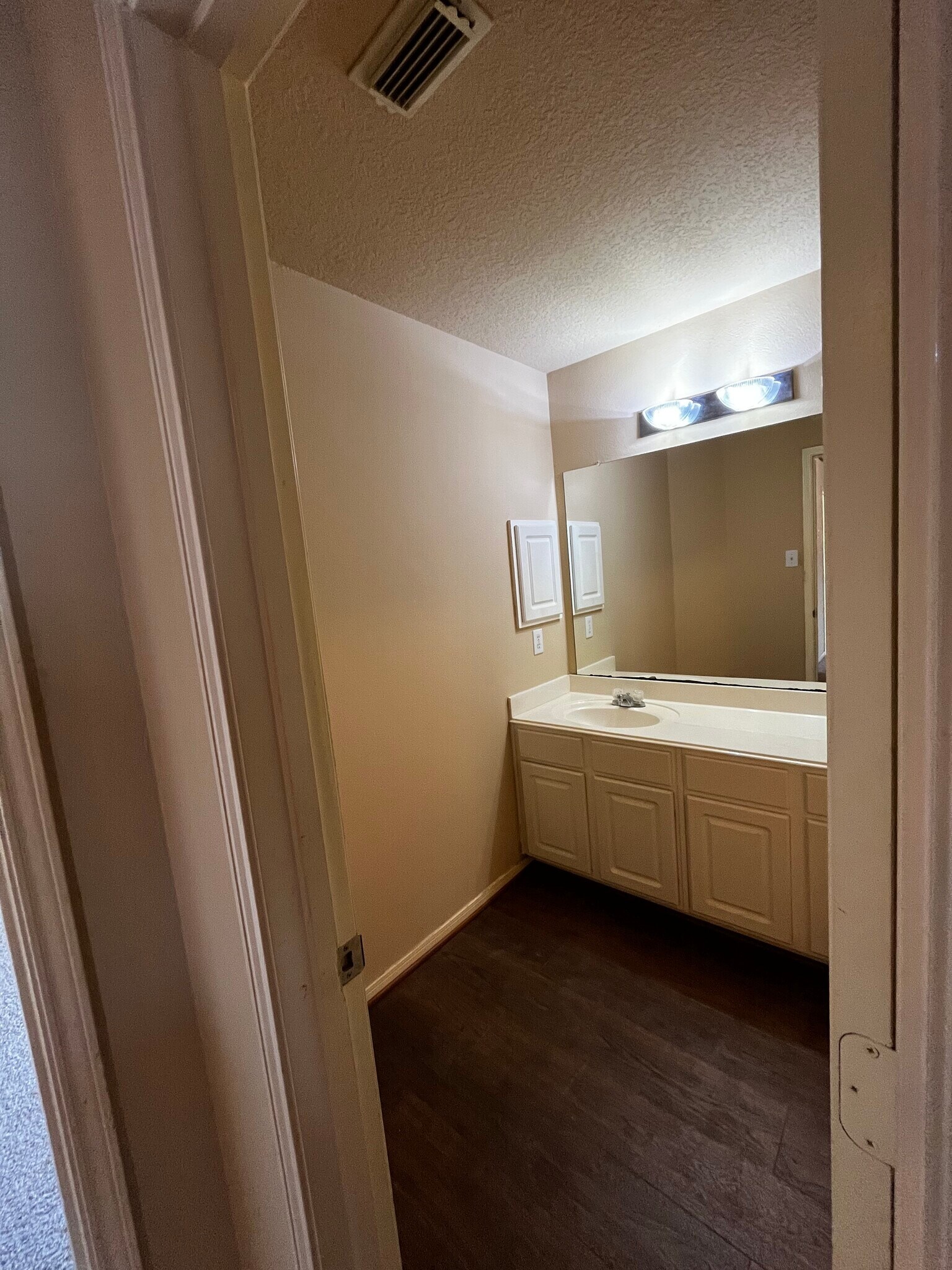 Beautiful bathroom 3 - 19410 Maywood Falls Cir