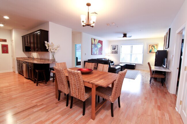 Open kitchen, living, dining - 7 Ballister Street
