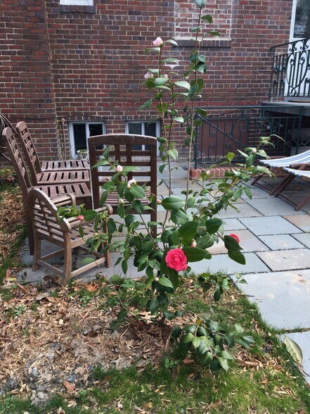 Patio - 1836 Varnum St NE