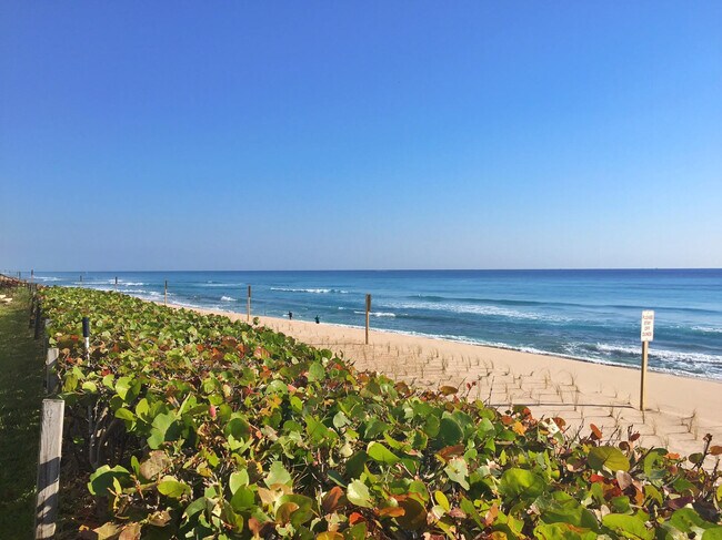 Building Photo - 5480 N Ocean Dr