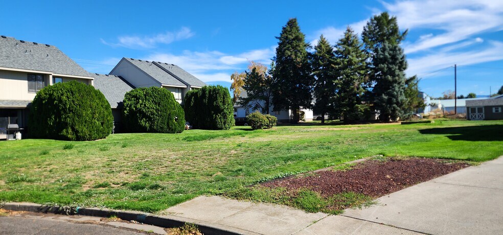 Back Yard and Grass Lot - 440 NE C St