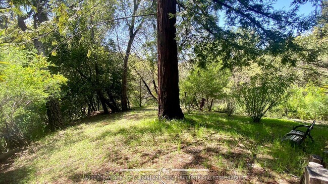 Building Photo - Lovely and RARE 3/2 single level home in O...