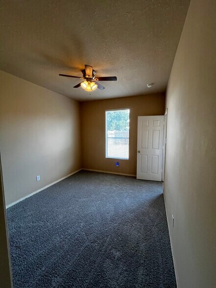 Downstairs open bright bedroom - 19410 Maywood Falls Cir