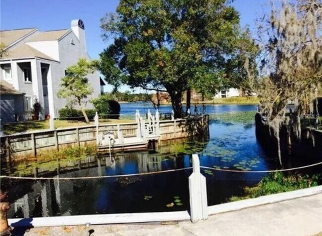 Building Photo - Large Executive Carrollwood Townhome
