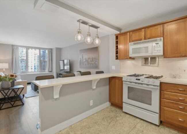 Building Photo - Highly desirable 1b apartment in Lakeshore East