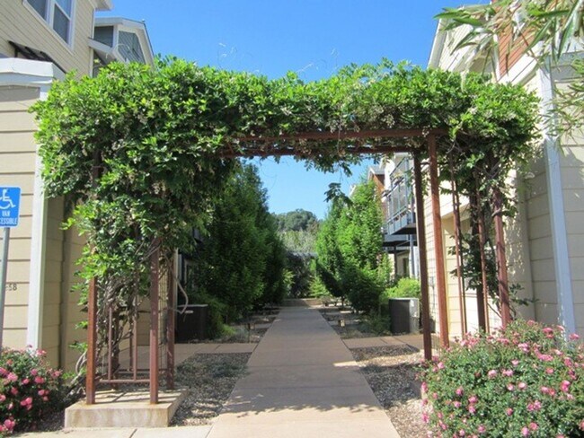 Building Photo - Studio in North East Santa Rosa