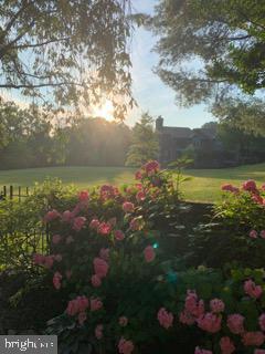 Building Photo - 7 Friendswood Ct