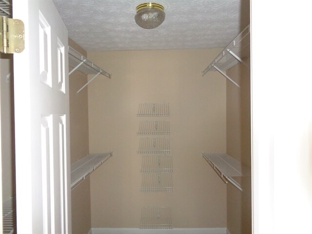 Building Photo - 5435 Silk Oak Way