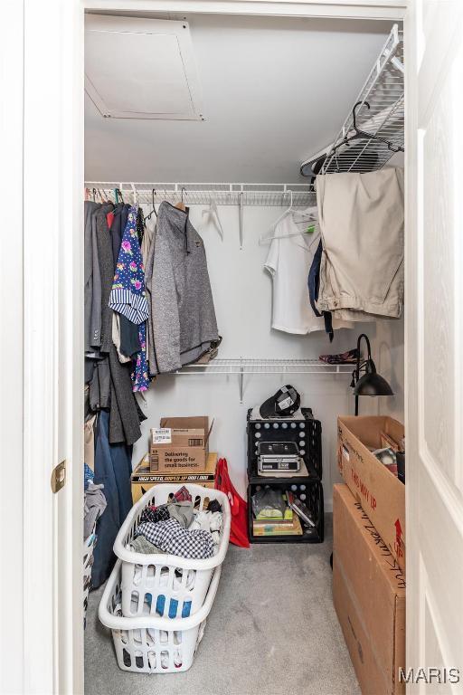 Building Photo - 3431 Rockwood Forest Ct