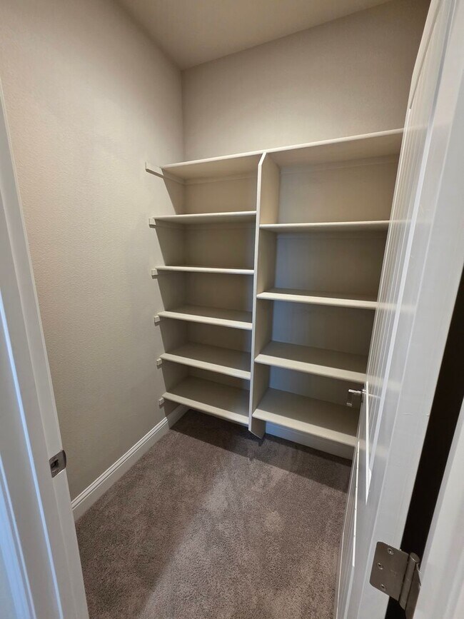 Building Photo - 846 Congaree Ln