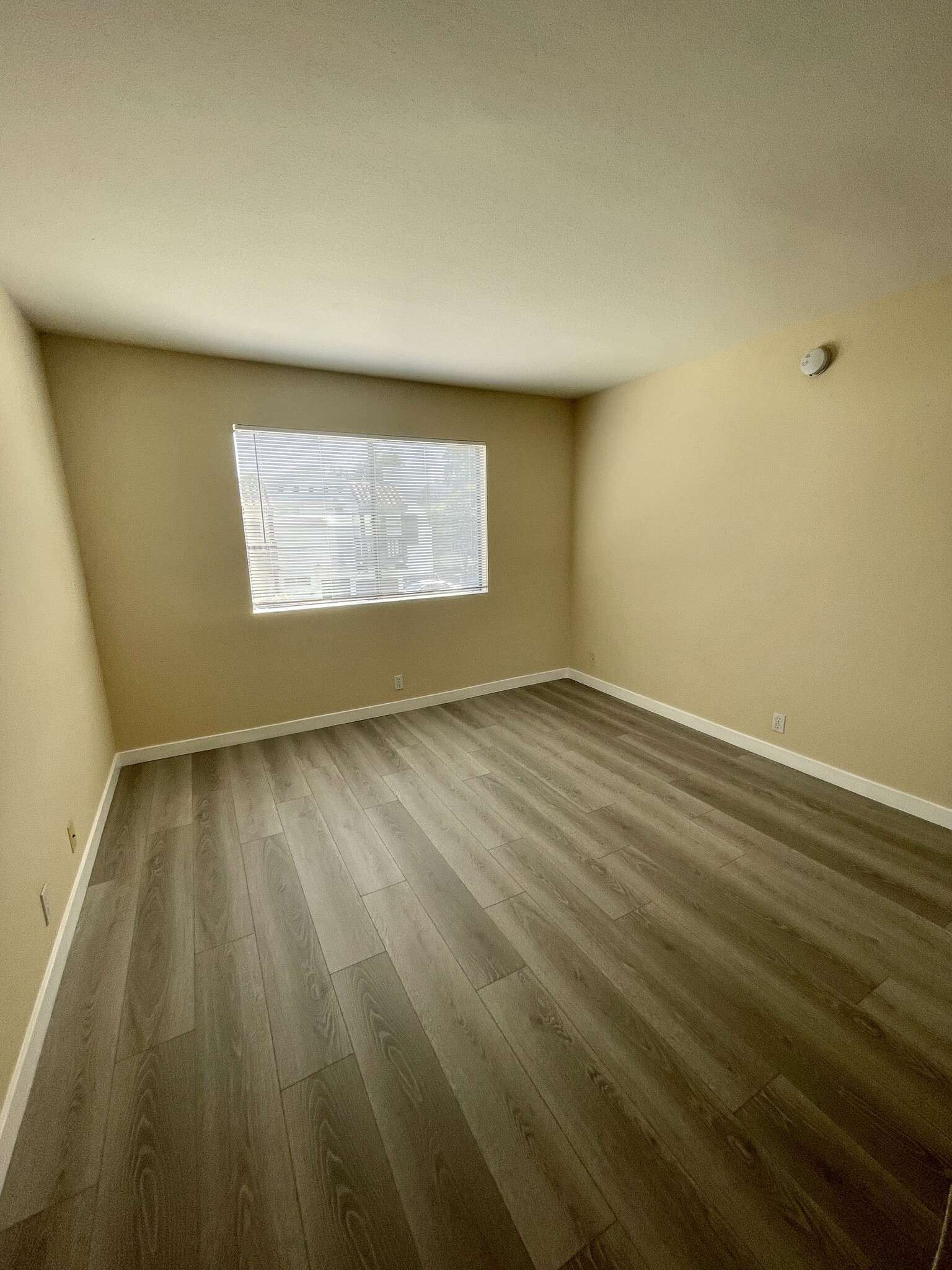 Spacious Bedroom - 10960 Bluffside Dr