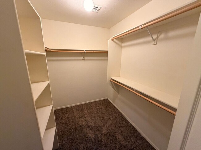 Building Photo - 3/2 Single story Avondale Home *Custom Paint* & Carpet in Beds Only!