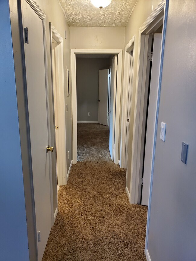 Building Photo - 317 Peachtree Dr