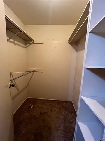 Building Photo - 3118 Wyndrock Dr