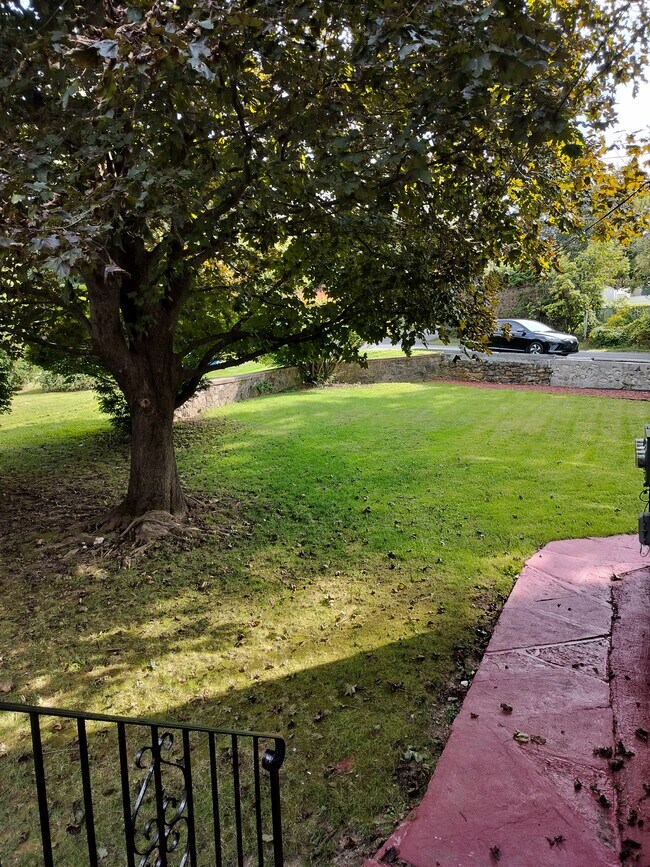 Building Photo - 126 Fanning St