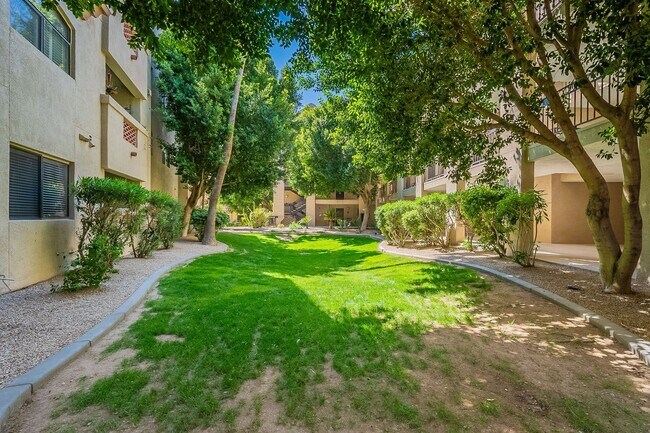 Building Photo - 32nd St & Camelback - Excellent Location
