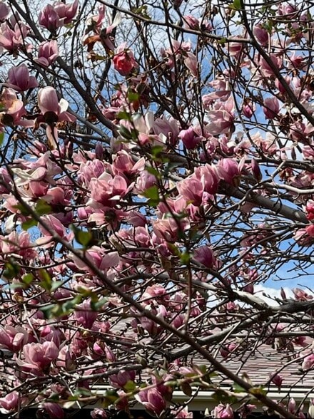 Building Photo - 2934 S Zurich Ct