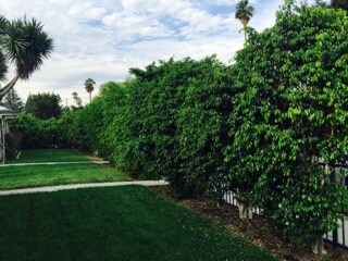 Building Photo - 263 N Florence St