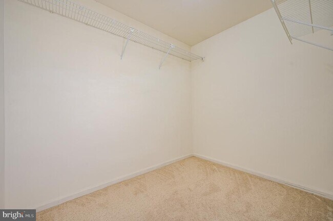 Building Photo - 12921 Freestone Ct