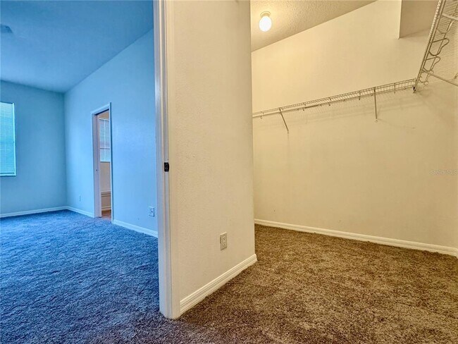 Building Photo - 13052 Terrace Springs Dr