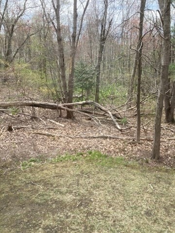 Building Photo - 304 Manor Ter