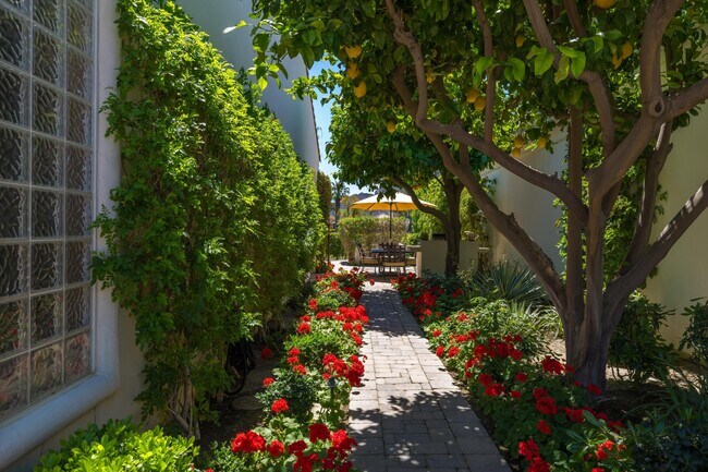 Building Photo - 79365 Mandarina