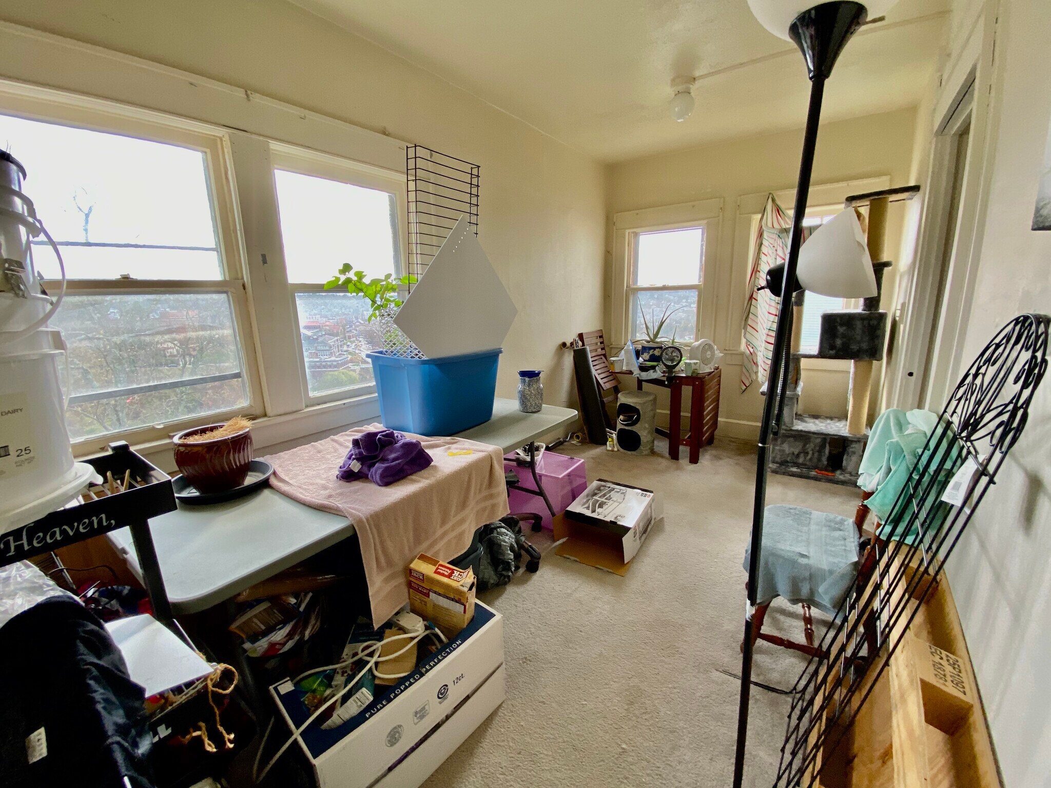 Building Photo - 127 Lorentz St