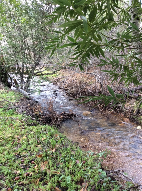 Building Photo - 3093 Old Lawley Toll Rd