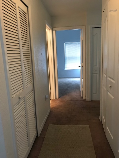 Hallway - 2505 Shadow View Cir