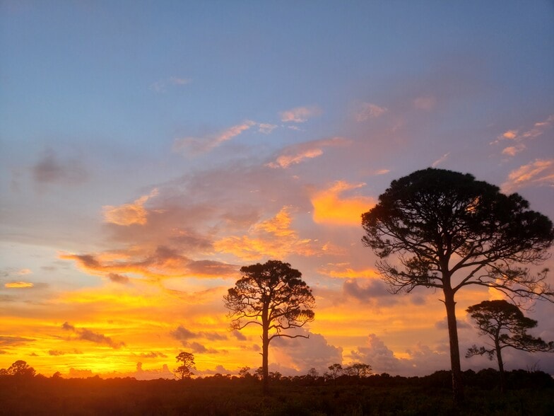 Building Photo - 1440 Everest Rd