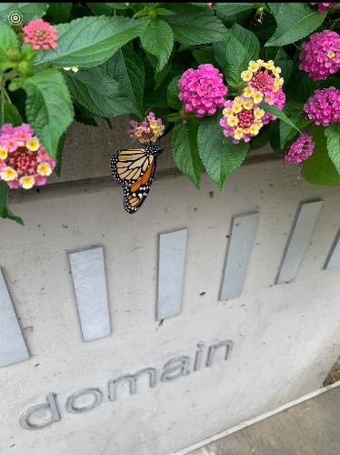 Building Photo - 900 N Kingsbury St