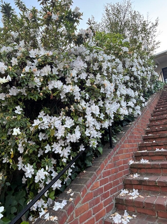 Building Photo - 1845 Pandora Ave