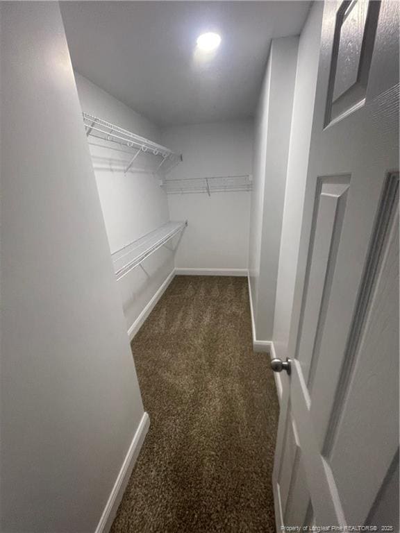 Building Photo - 217 Willborough Ave