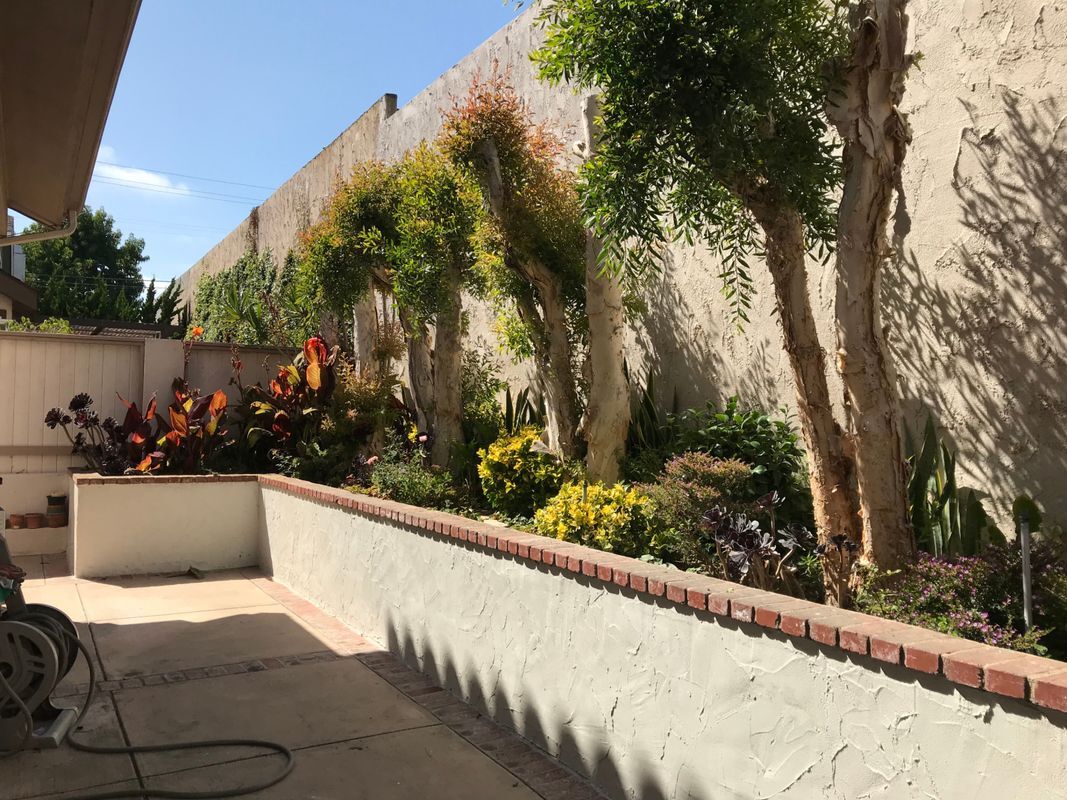 Building Photo - 1805 Harriman Ln