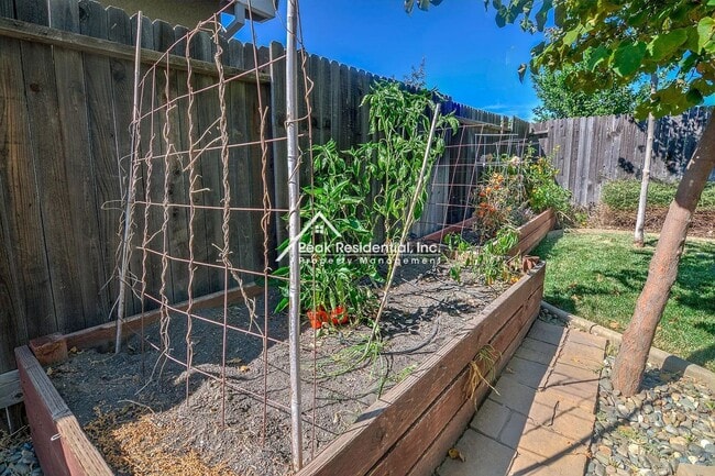 Building Photo - Beautiful 3bd/2ba Rancho Cordova Home-Must See!