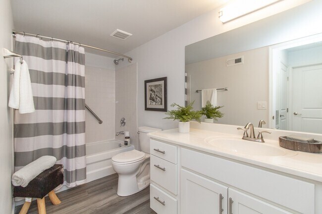 Floorplan - Ivy Hills Living Spaces