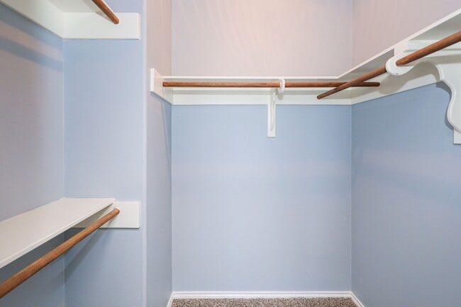 Building Photo - 2619 San Isidro Pkwy