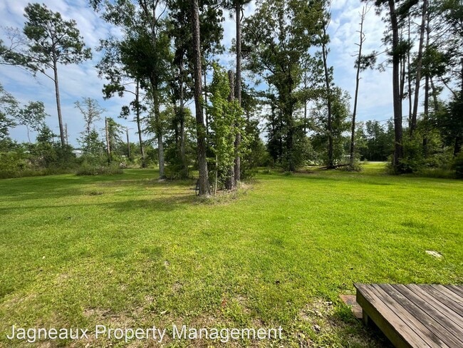 Building Photo - 3 br, 2 bath House - 1201 Newt Hodges Rd