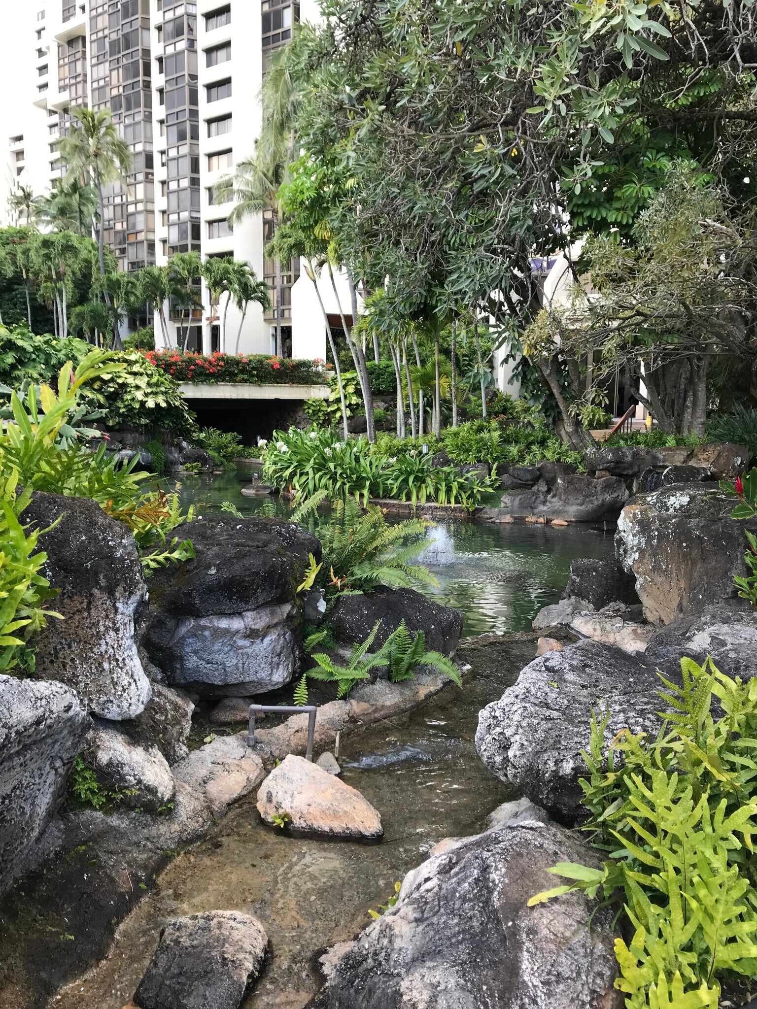 Building Photo - 501 Hahaione St