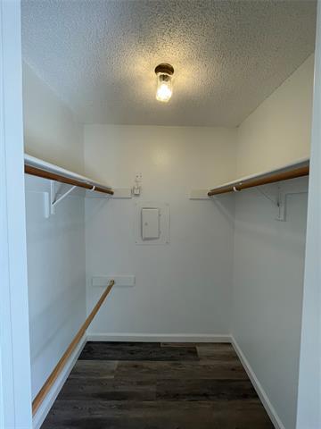 Building Photo - 2506 Wedglea Dr