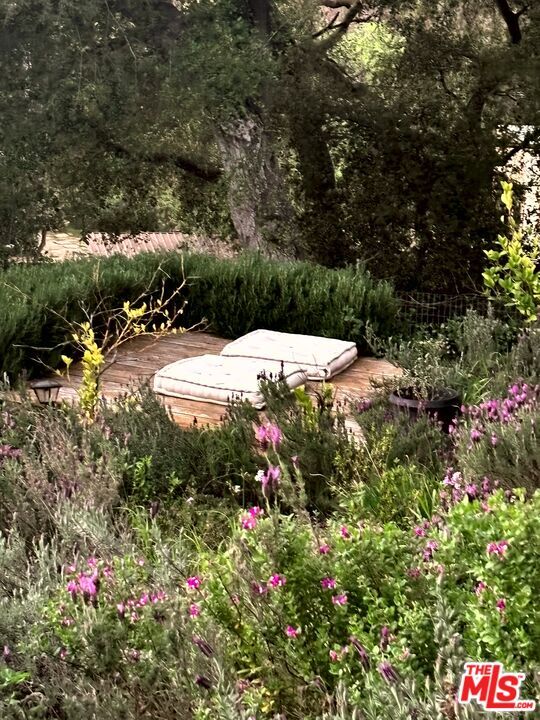 Building Photo - 1149 Old Topanga Canyon Rd