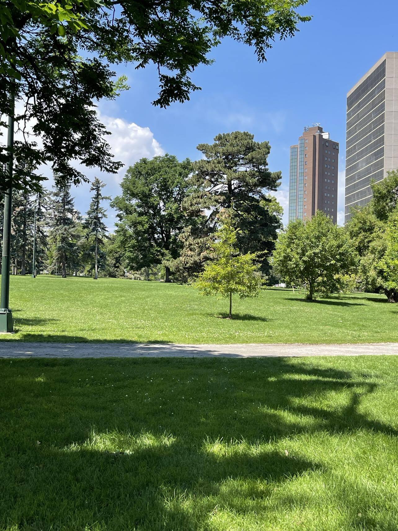 Building Photo - 1265 Race St