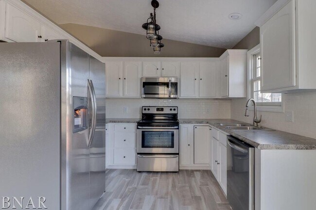 Building Photo - Stunning 4 Bed/3Bath Bi Level