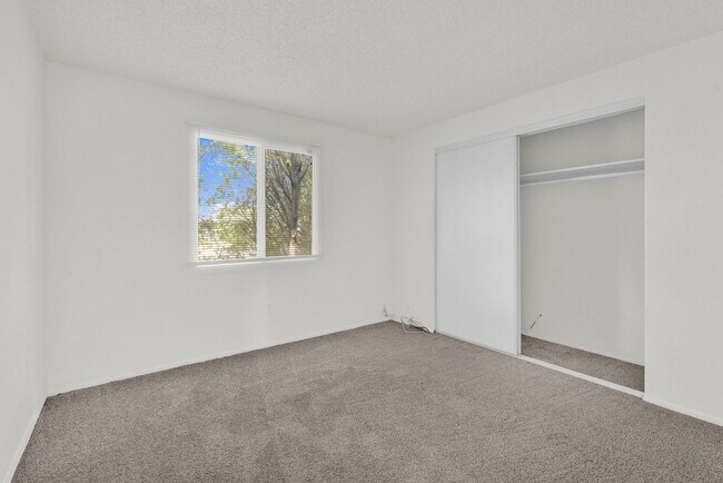 Building Photo - Great 3 bed 2 bath home with a pool!