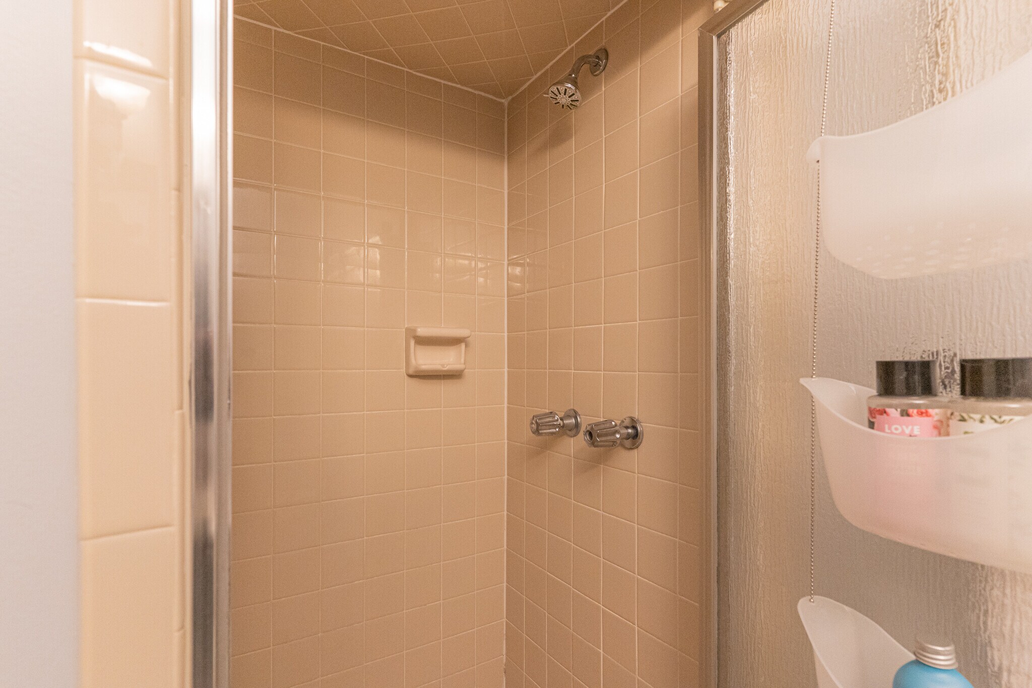 Guest Bathroom 2 - 244 S Cedar St