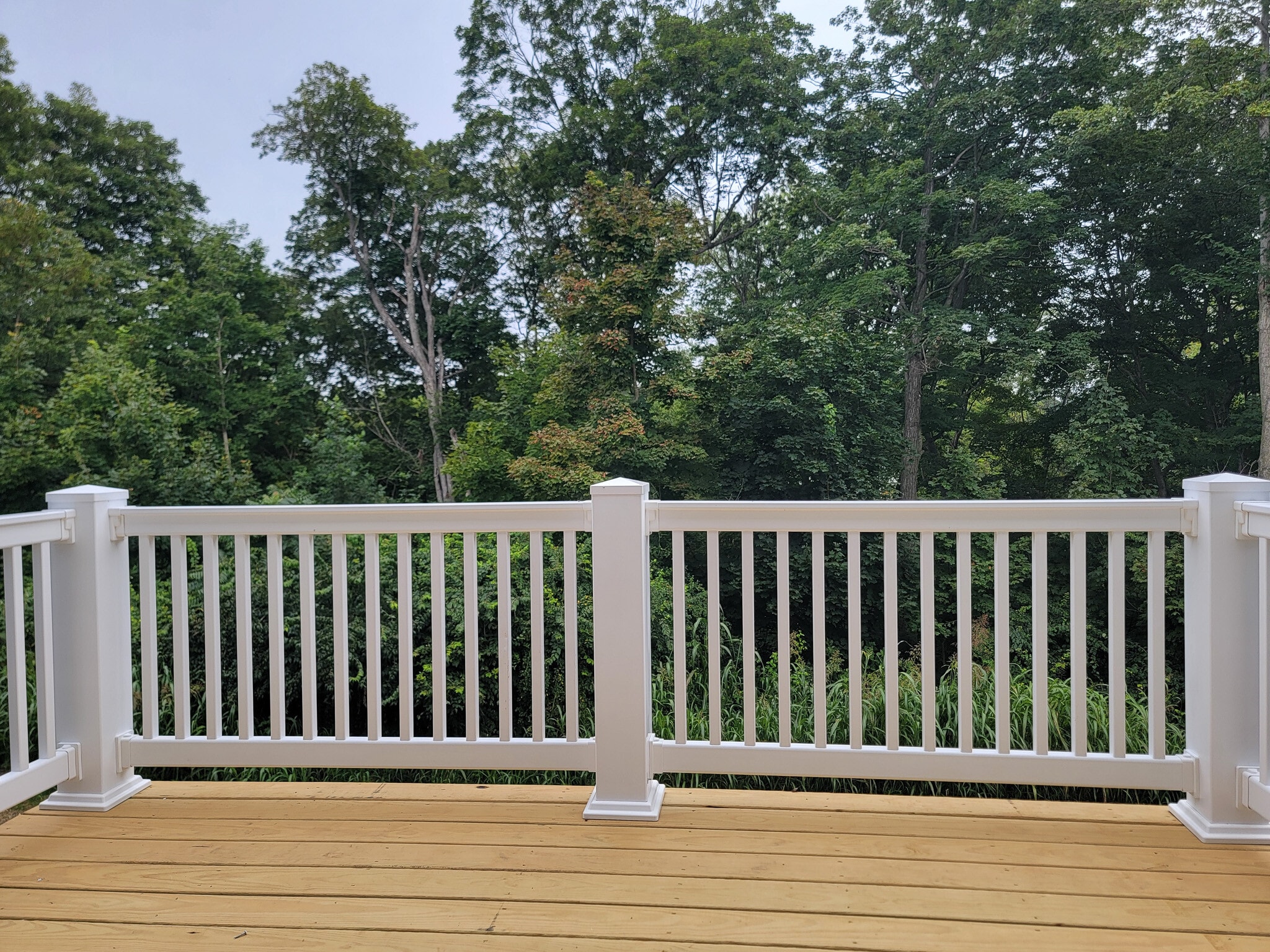 Building Photo - 145 Beech Tree Ct