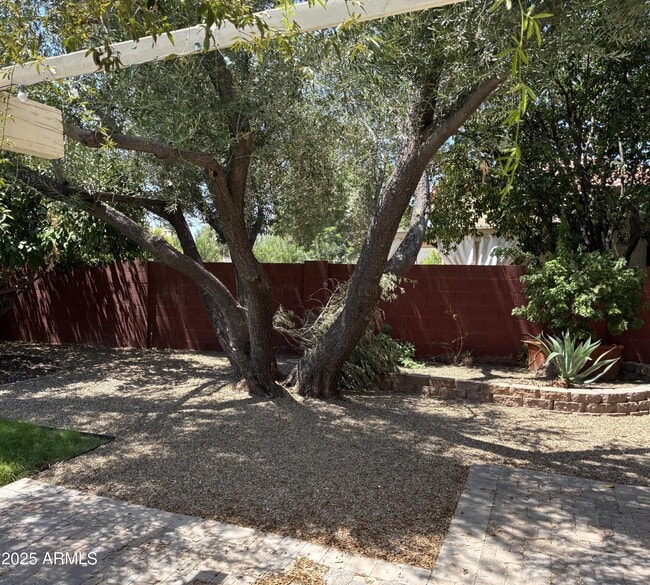Building Photo - 8437 E San Benito Dr