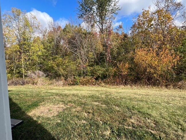 Building Photo - Large 4 Bedroom Home at I-44 and HWY 100